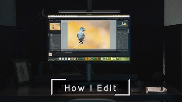 My Wildlife Photography Post Processing Workflow