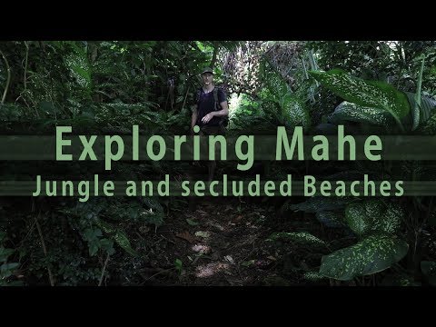 How to open a Coconut - Mahe Jungle Hike