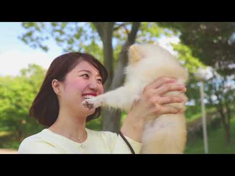 となみのペット葬儀社CM