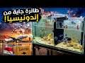 شحنة سمك بحري لسة جاية من المطار