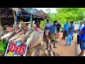 Special sri lanka amazing village streets biggest rohu fish market master cutting skills