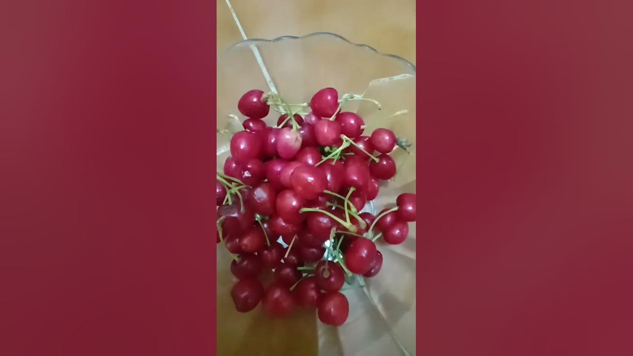 alateris #seedless #highlight #shortsyoutube @Mcdonaldborja - YouTube