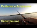 Супер рыбалка в Астрахани на Ахтубе 1 часть Ловим на спиннинг !!!