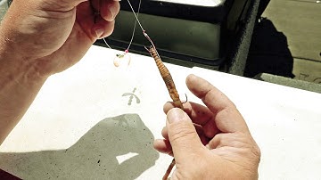 How to hook a nightcrawler on a harness