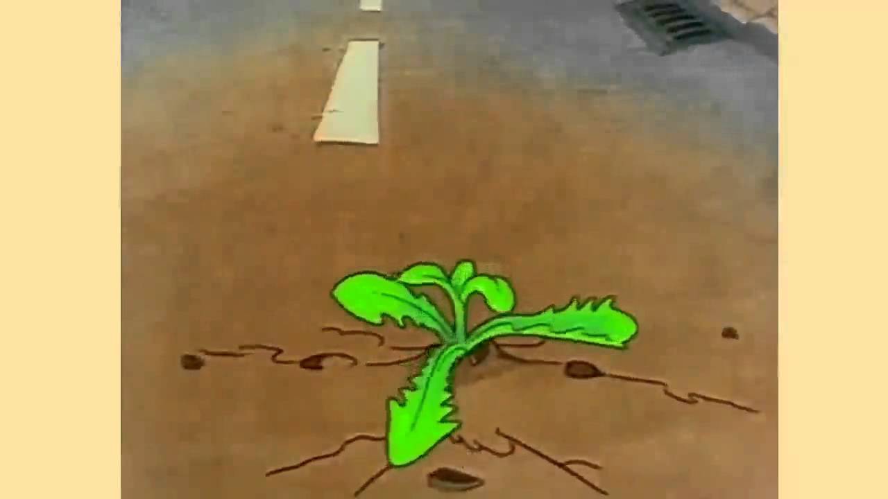 Lowenzahn Intro Rip Peter Lustig 1937 16 Youtube