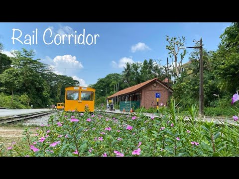 Morning Walk at Rail Corridor, Singapore - 4K HDR