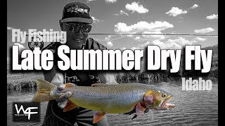 W4F - Fly Fishing Dry Fly - Late Summer