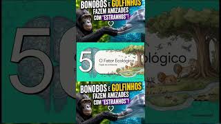 Bonobos e golfinhos fazem amizades com “estranhos”! (Parte 7)