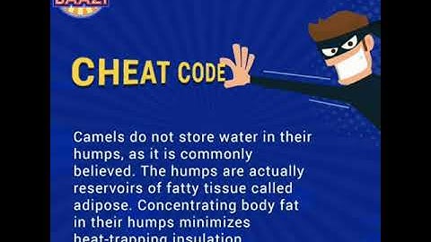 Brain Baazi social media cheat code for 22 May 1 pm