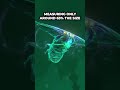 The Truth About Ghost Leviathans In Subnautica #shorts #subnautica