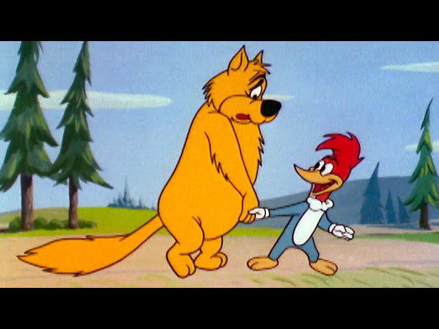 Woody Makes A New Friend | 2.5 Hours of Classic Episodes of Woody Woodpecker class=