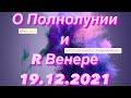 Полнолуние и Ретро Венера 19 12 2021