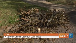 Ice storm debris cleanup continues in Tyler