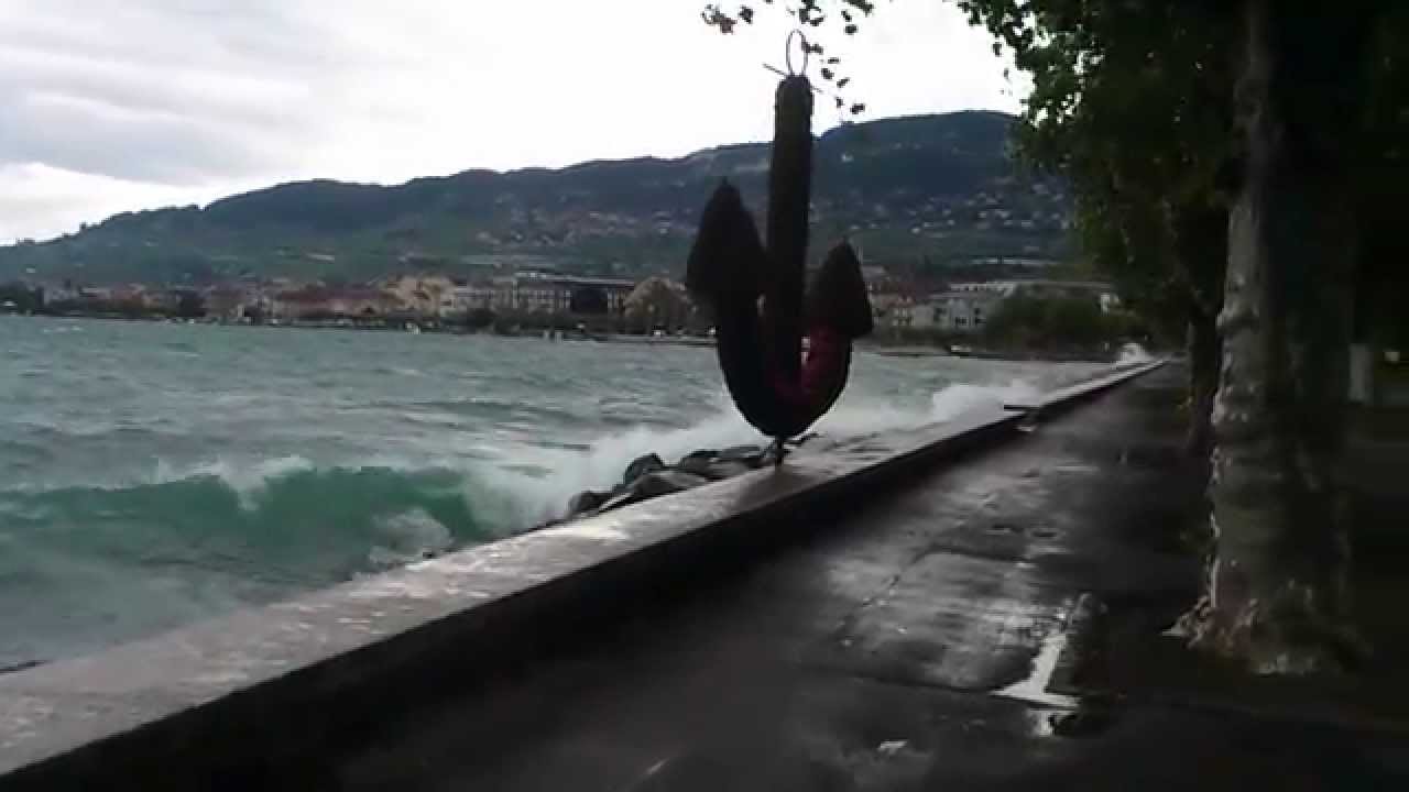 La Tourdepeilz tempête au Jardin Roussy YouTube