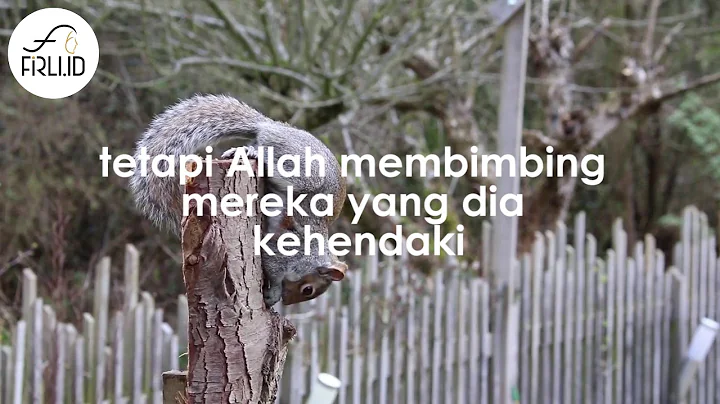 04 April Dendy Video