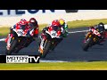 Australian superbike championship asbk  round 1 phillip island  superbikes  25th february 2024