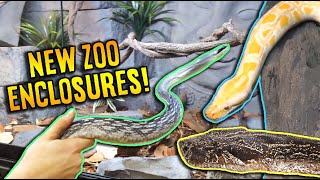 Moving the First SNAKES into the Zoo!!