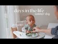 summer days in the life: week of groceries, starting Zeke on solids, yummy recipes &amp; more!