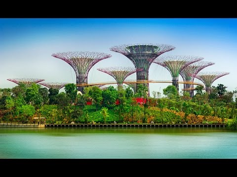 Gardens by the Bay