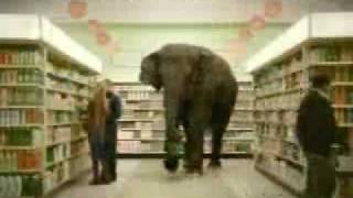 Master Card Advertisement - Even Elephants Care