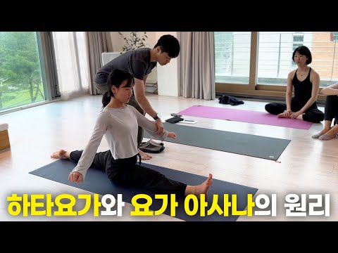 하타요가와 요가 아사나의 원리ㅣ하타요가 입문 지도자과정