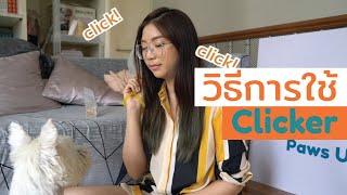 Paws Up! Ep1: ฝึกน้องหมาด้วย Clicker