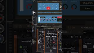 MolliLooper iOS Live Looper Freeze Function Guitar Demo (See Pinned Comment) screenshot 2