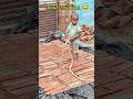 no reaction 😂 #viral #love #baby #likeandsubscribe
