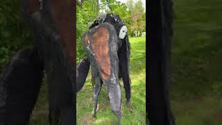 Youtube, This Is Sprite. The Spiritwalker