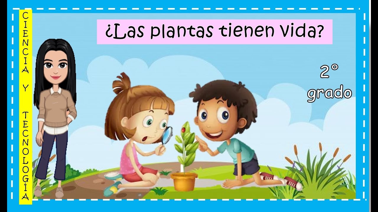 ¿Las plantas tienen vida? - YouTube