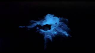 Mesmerizing  Bioluminescent Bay at La Parguera, Puerto Rico