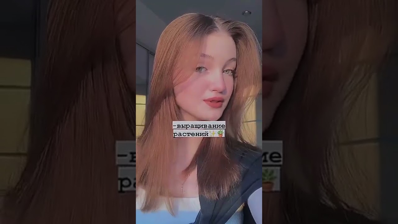 preview_player