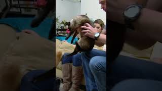 My Dog From Hell | My Cat From Hell | Animal Planet