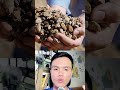 Trung quốc khoá van đất hiếm - vũ khí Mỹ đắp chiếu   #cuongcungcoi
