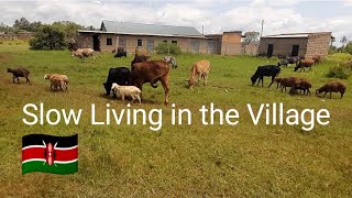 VILLAGE VLOG:Humble living in the village||Days of an introvert villager||New ||Clean with me...