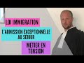 Loi immigration  le titre mtier en tension