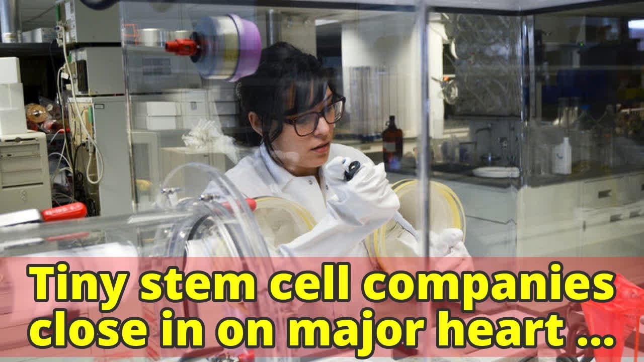 Tiny stem cell companies close in on major heart disease goals