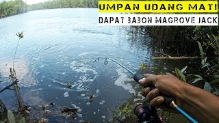 Mancing Di Sungai Pakai Umpan Udang Mati