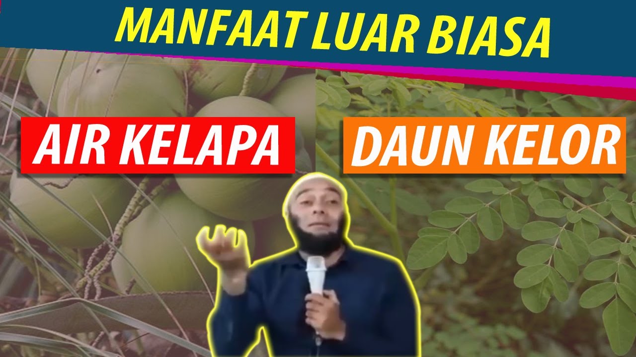 MANFAAT LUAR BIASA DAUN KELOR DAN AIR KELAPA - dr. ZAIDUL AKBAR 