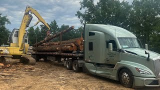 Central Oregon Flatbed Trucking #96. DOT inspection. Hauling logs