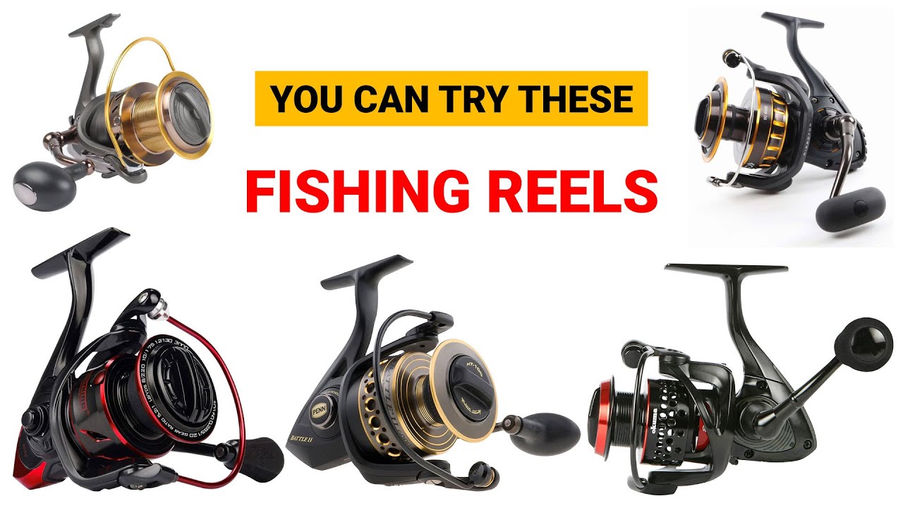 Best Fishing Reels 2022 Review and Buying Guide