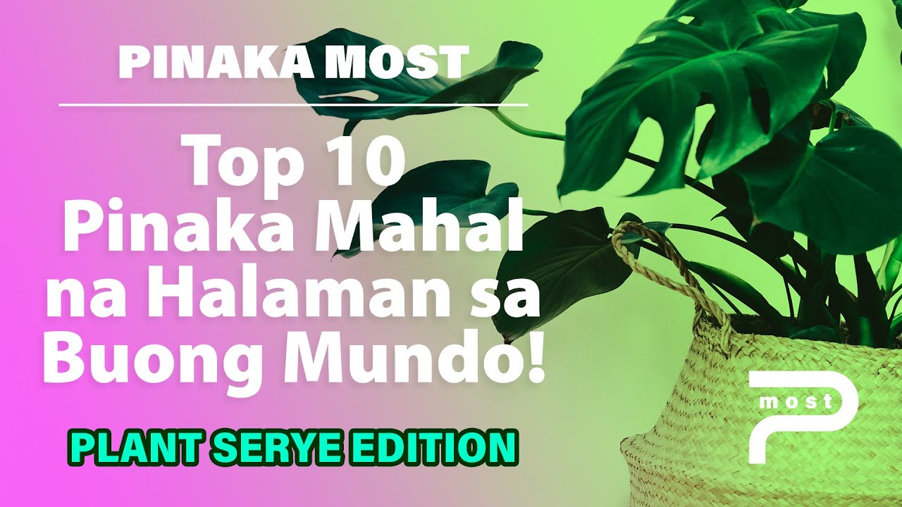 10 Most Expensive Plants in the World Top 10 Pinaka Mahal na Halaman
