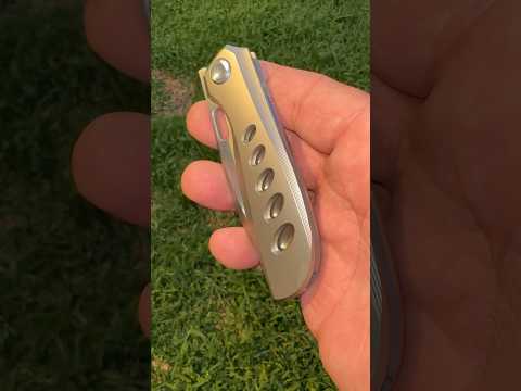 Sunday early morning EDC is my Poikilo Blades M398 Gecko knife… the perfect size.