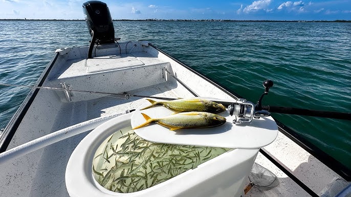 How to catch Pinfish in Islamorada using pinfish traps! Where to find  places to catch Pinfish! 