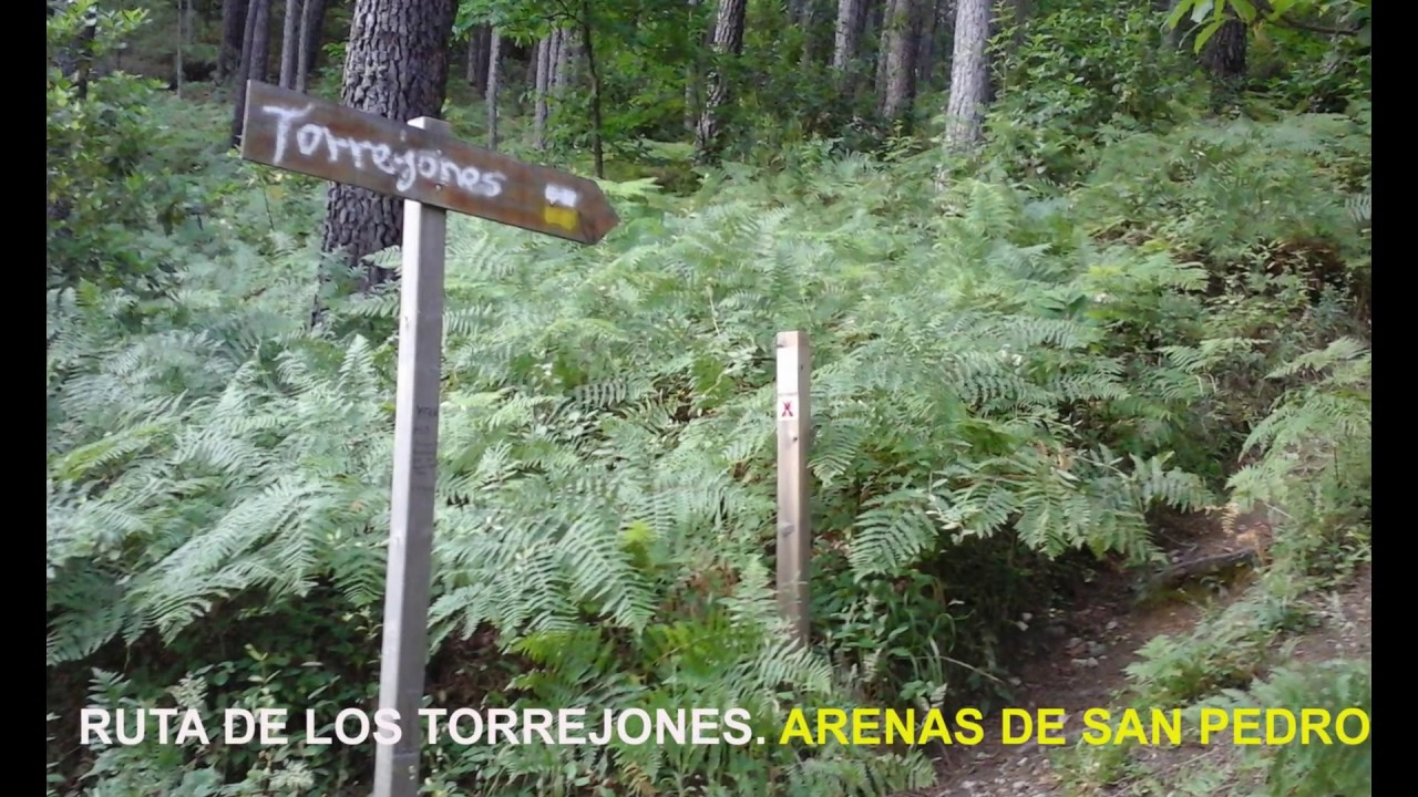 Torrejones
