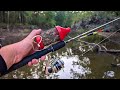 Late summer bream fishing with crickets