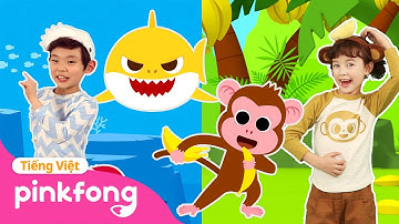 Tuyển tập  thể dục trẻ em | Cá Mập Con 🦈 Ăn Chuối cùng gia đình Khỉ 🐒  Pinkfong! Nhạc thiếu nhi