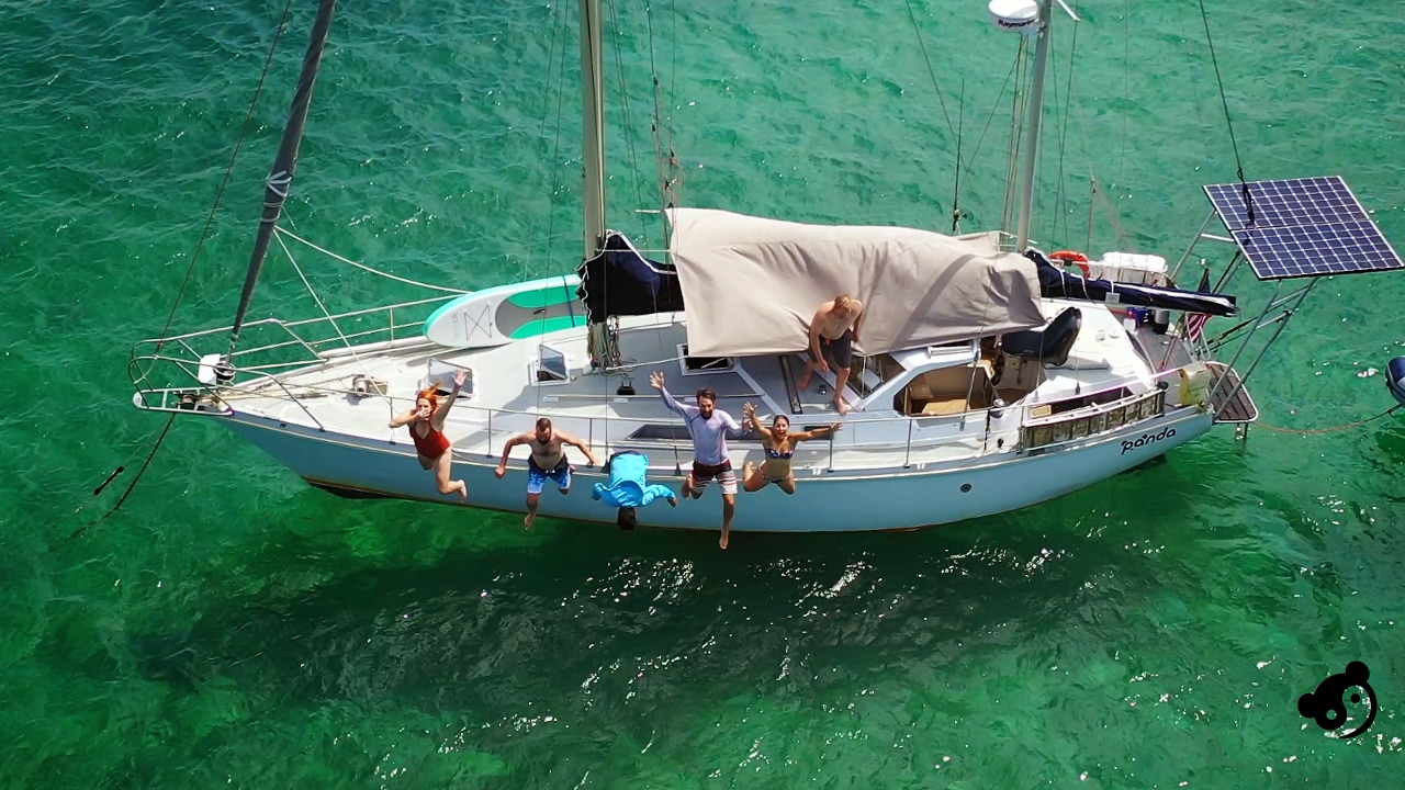 Sailing Panda Live Stream