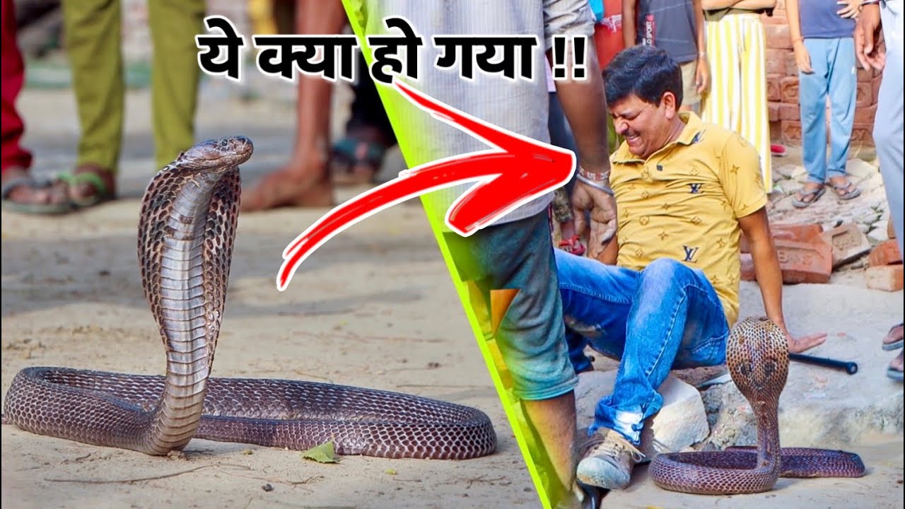 जहरीले नाग को रेस्क्यू करते वक्त Guddu Maurya सर्पमित्र के साथ हुआ हादसा! कैमरे में क़ैद हो गई घटना।
