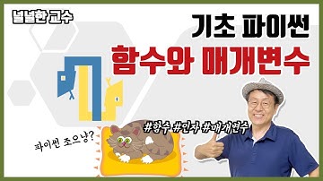 04_2 함수와 매개변수(널널한 교수의 기초 파이썬) ft. 파이썬 코딩